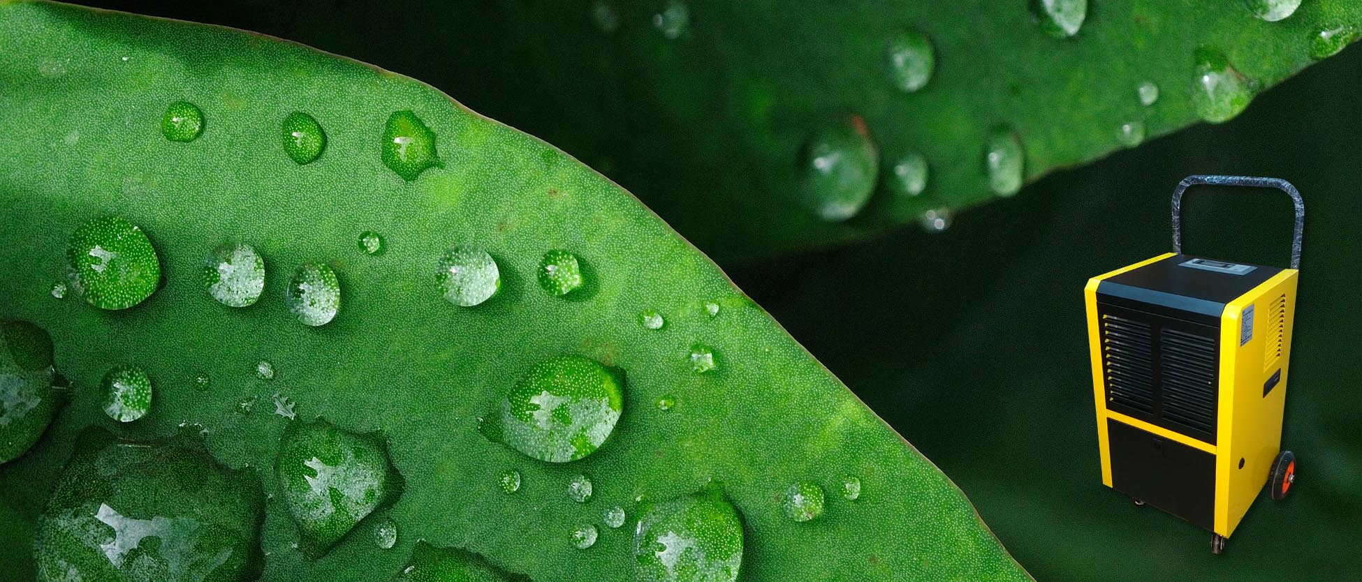 Soluciones Inteligentes para Climatización del Aire Interior